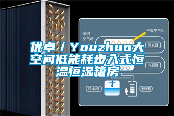 優卓/Youzhuo大空間低能耗步入式恒溫恒濕箱房