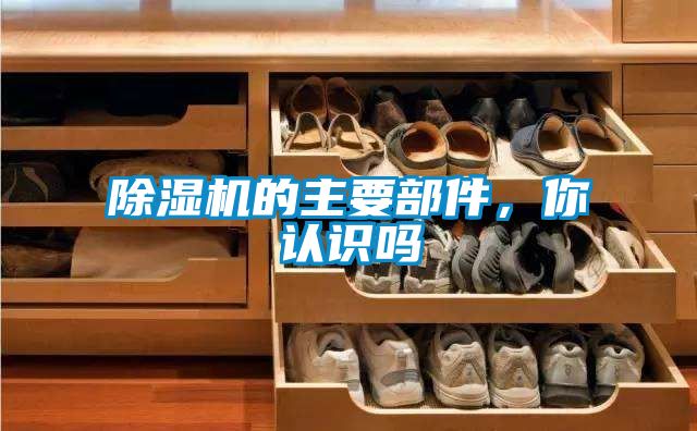 除濕機(jī)的主要部件,你認(rèn)識嗎