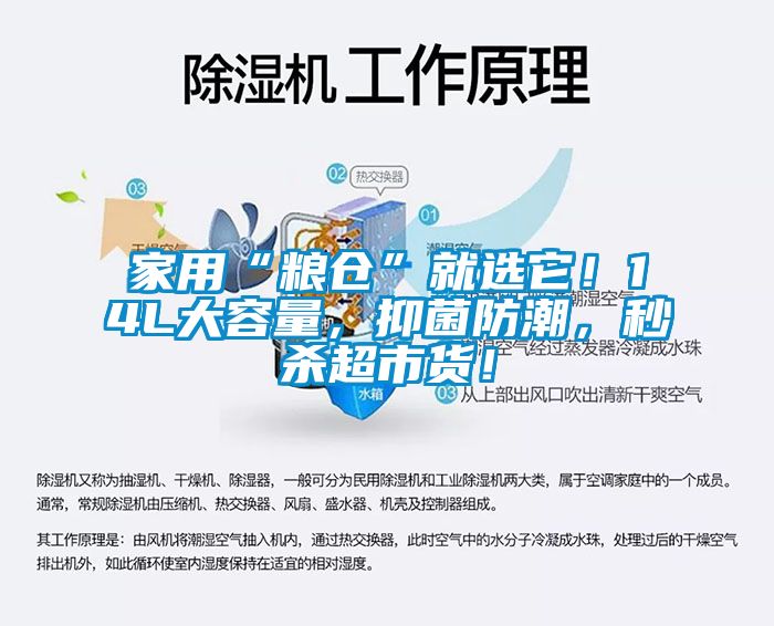 家用“糧倉(cāng)”就選它!14L大容量,抑菌防潮,秒殺超市貨!