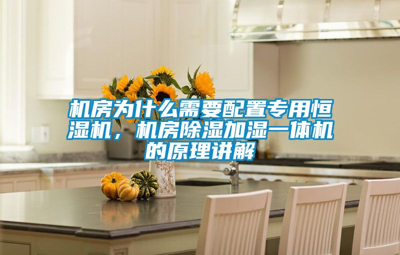 機(jī)房為什么需要配置專(zhuān)用恒濕機(jī)，機(jī)房除濕加濕一體機(jī)的原理講解