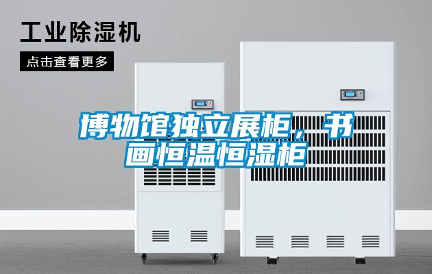 博物館獨立展柜,書畫恒溫恒濕柜
