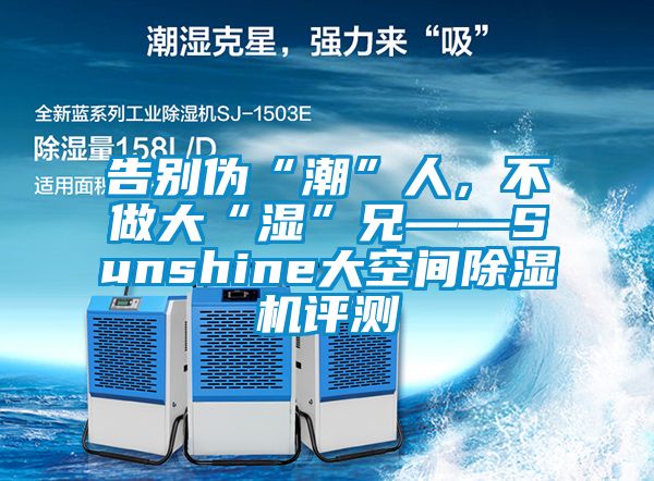 告別偽“潮”人，不做大“濕”兄——Sunshine大空間除濕機評測