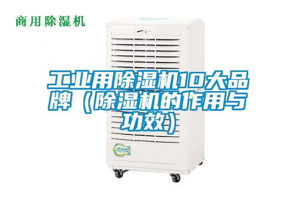 工業(yè)用除濕機10大品牌(除濕機的作用與功效)