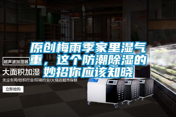 原創梅雨季家里濕氣重,這個防潮除濕的妙招你應該知曉